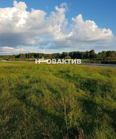 земля дачное некоммерческое товарищество Шараповское, Полевая улица, 3 фото