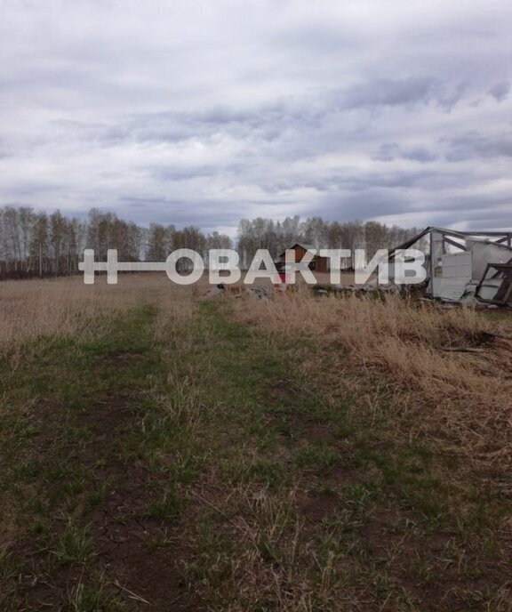 земля р-н Коченевский садовые участки Эко-городок фото 4