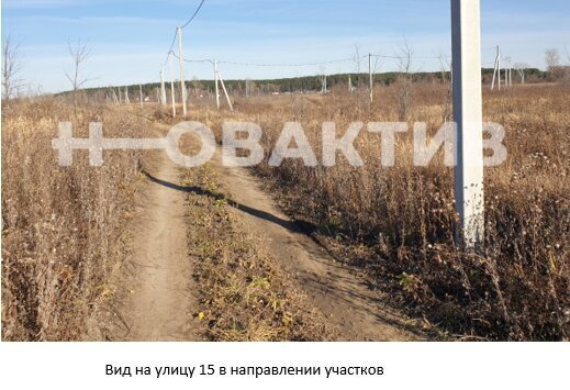 земля р-н Новосибирский снт тер.Сады Приобья Кубовинский сельсовет, 11-улица, 1 фото 7