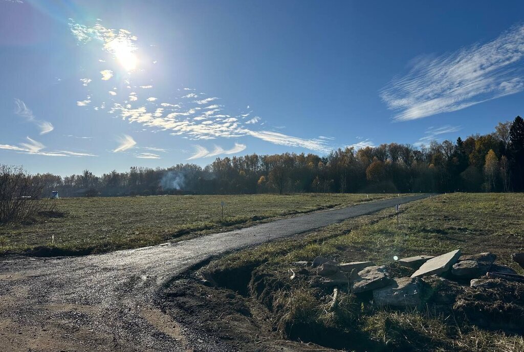 земля городской округ Серпухов д Мартьяново фото 21