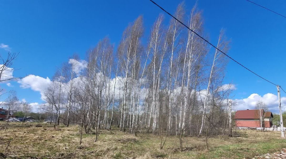 земля городской округ Коломенский д Малое Карасёво Коломна городской округ фото 6