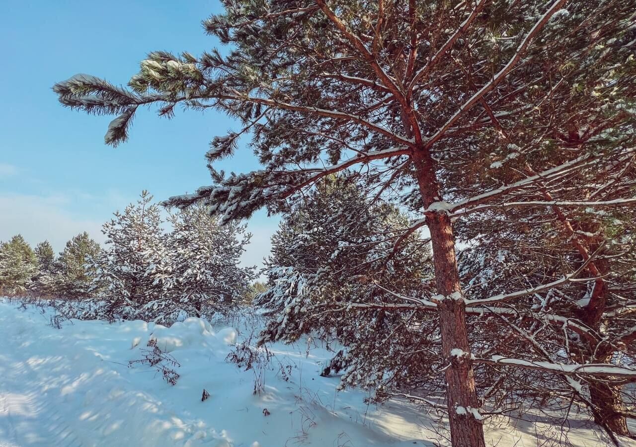 земля г Тула 83 км, Иваньковское, Московская область, Ступино, Ясногорский р-н, направление Павелецкое (юго-<текст-удален>, Новокаширское шоссе фото 11