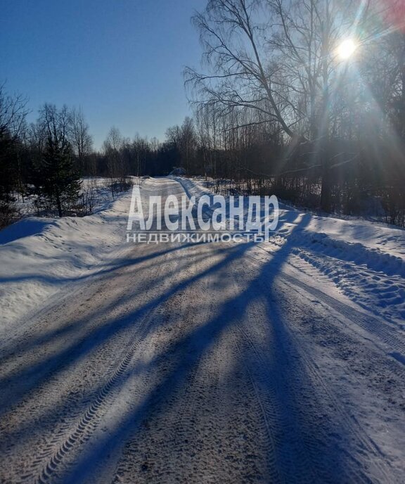 земля р-н Выборгский г Выборг ул Дача Охотников Выборгское городское поселение фото 2