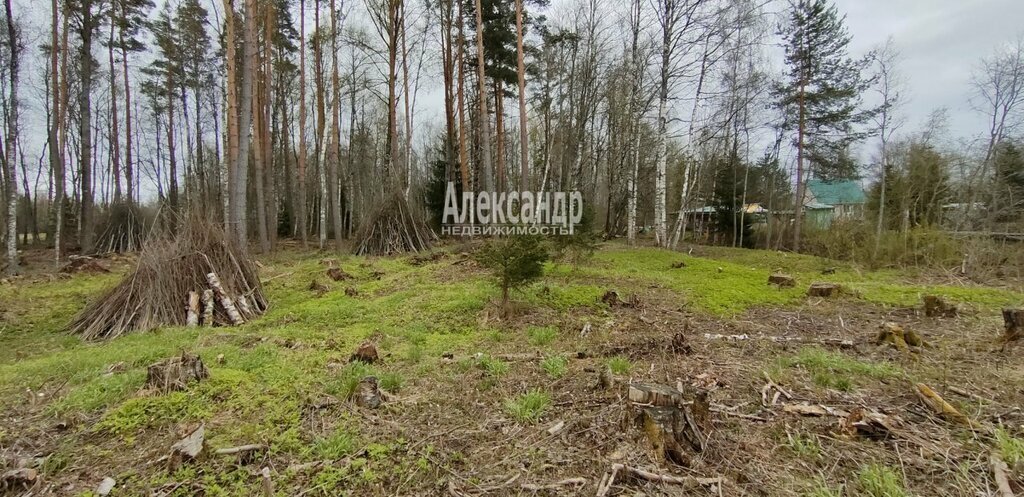 земля р-н Приозерский п Беличье ул Озерный берег 22 Ларионовское сельское поселение фото 1