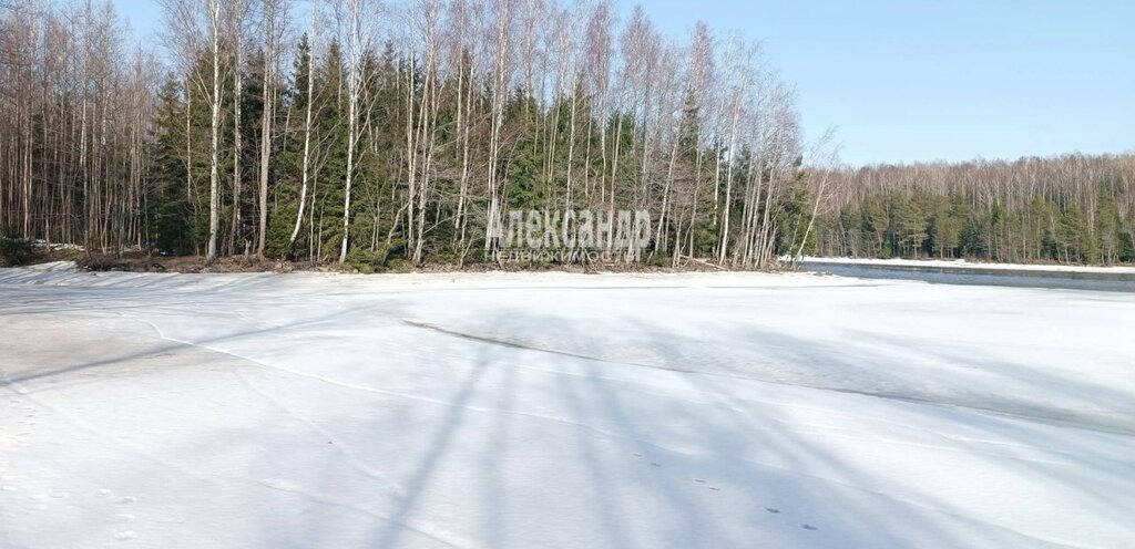 земля р-н Выборгский г Выборг ул Средняя Системная Выборгское городское поселение фото 3