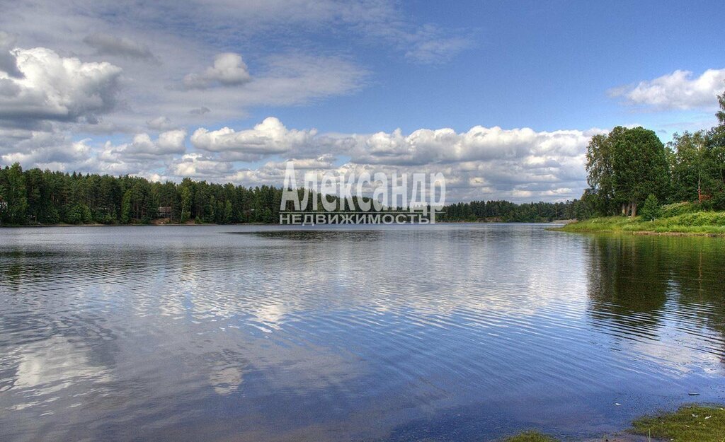 земля р-н Выборгский п Волочаевка Рощинское городское поселение фото 1