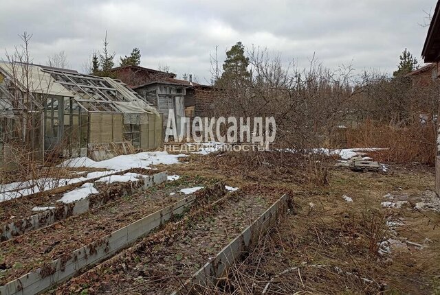 Морозовское городское поселение, садоводческое некоммерческое товарищество Аврора фото