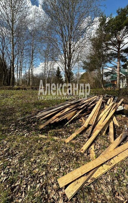 земля р-н Всеволожский д Коккорево Рахьинское городское поселение, 16 фото 3