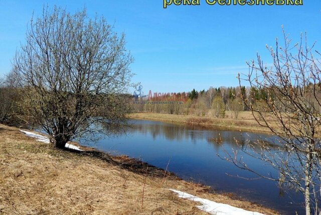 Селезнёвское сельское поселение, садоводческое некоммерческое товарищество Аграрник фото