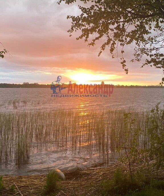 земля р-н Выборгский п Вязы Приморское городское поселение фото 1