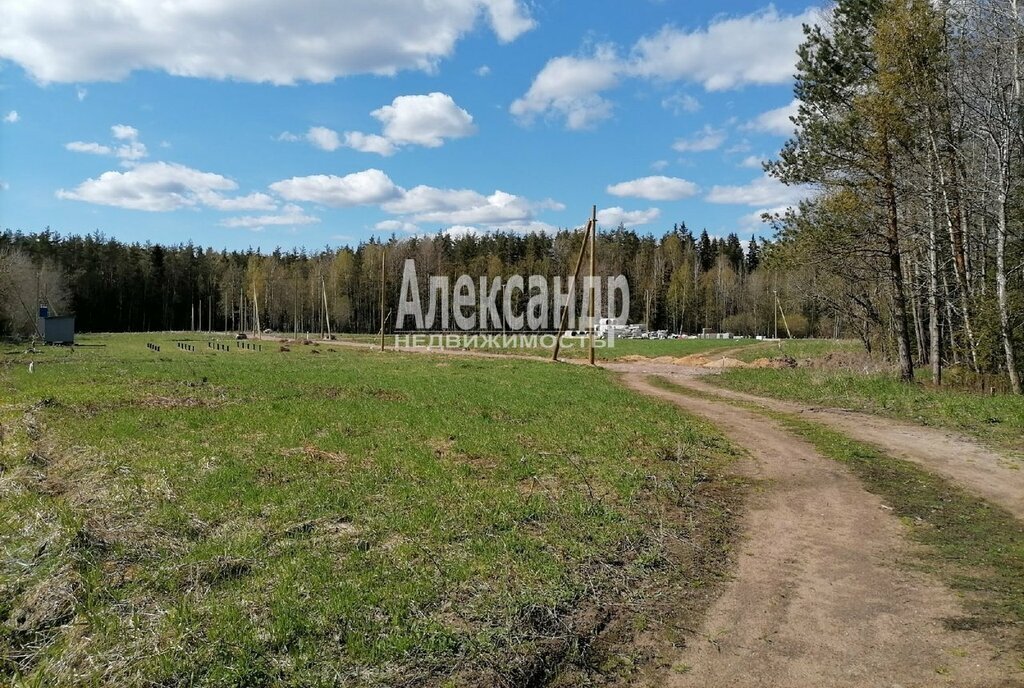 земля р-н Выборгский п Красная Долина Приморское городское поселение фото 1