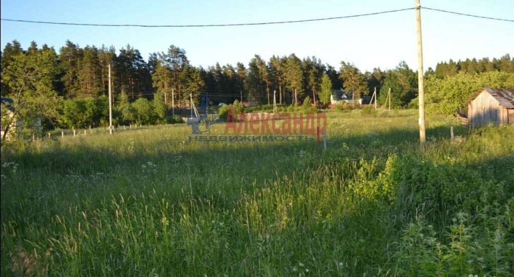 земля р-н Выборгский п Глубокое Каменногорское городское поселение фото 3