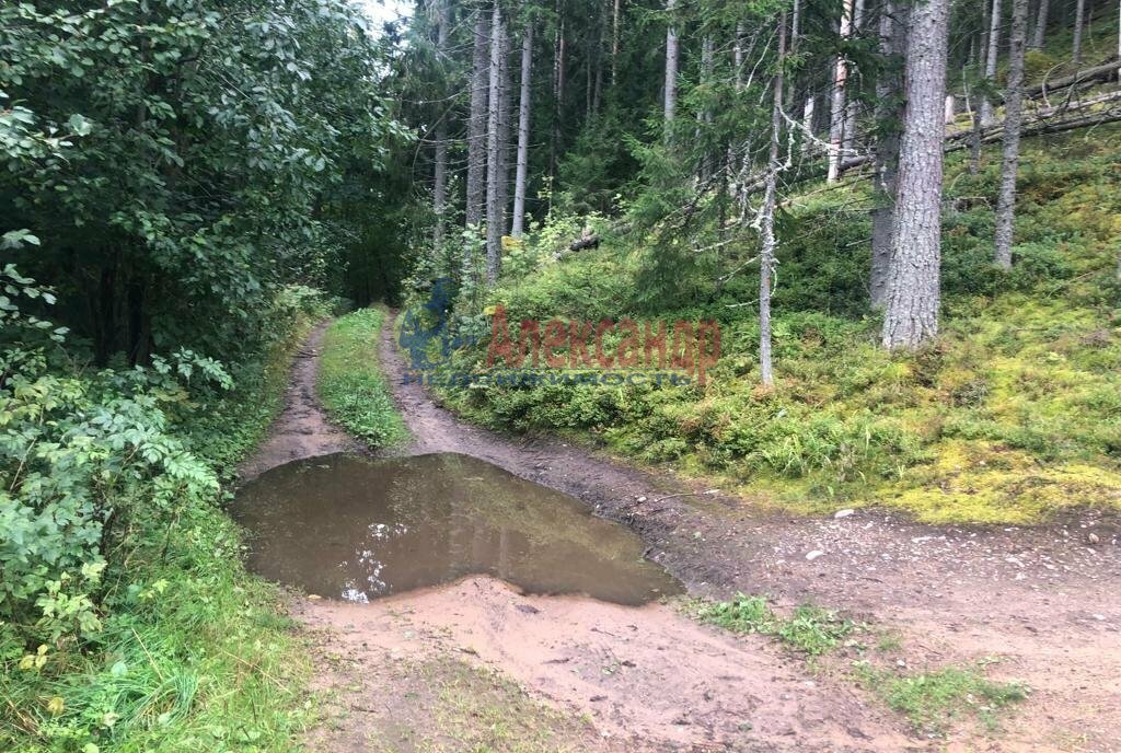 земля р-н Приозерский п Моторное Ларионовское сельское поселение фото 3