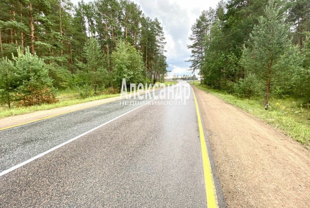 дом р-н Кировский д Назия ул Заводская 22 Приладожское городское поселение фото 3