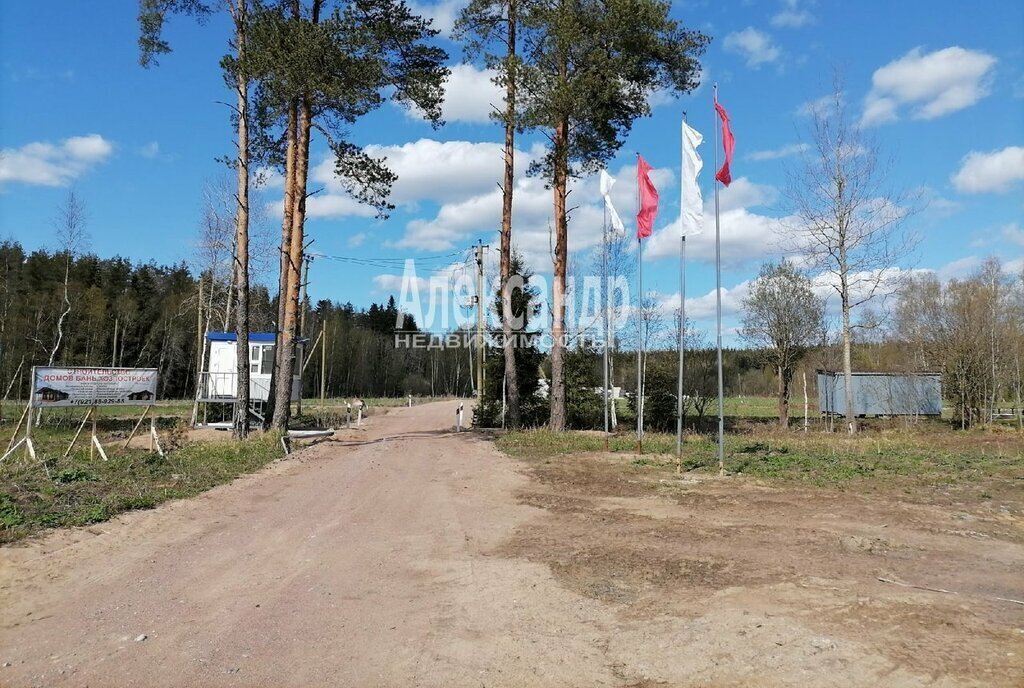 земля р-н Выборгский п Красная Долина Приморское городское поселение фото 2