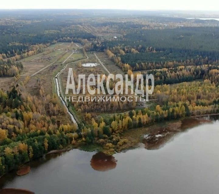 земля р-н Выборгский п Красная Долина Приморское городское поселение фото 3