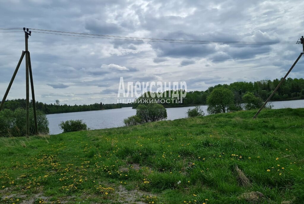 земля р-н Приозерский п Богатыри Севастьяновское сельское поселение фото 4