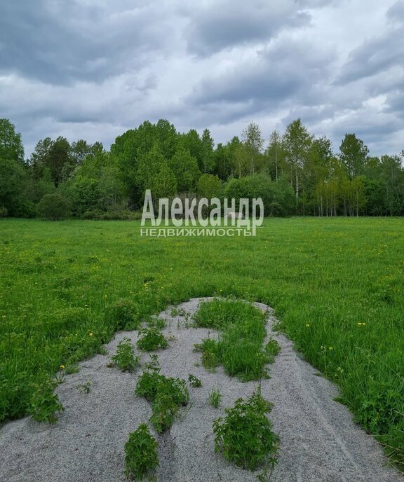 земля р-н Приозерский п Богатыри Севастьяновское сельское поселение фото 3