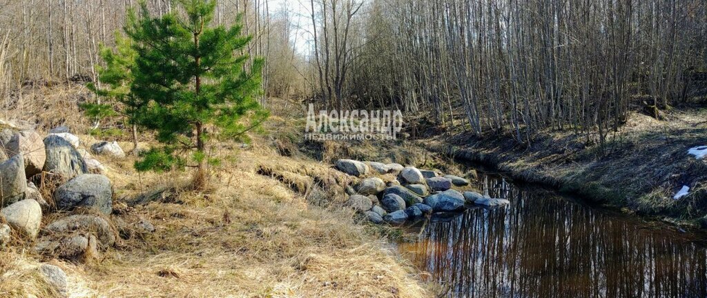 земля р-н Приозерский снт Громово-плюс Громовское сельское поселение, 5 фото 2