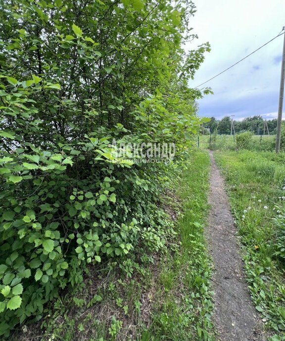 земля р-н Выборгский п Красная Долина Приморское городское поселение фото 8