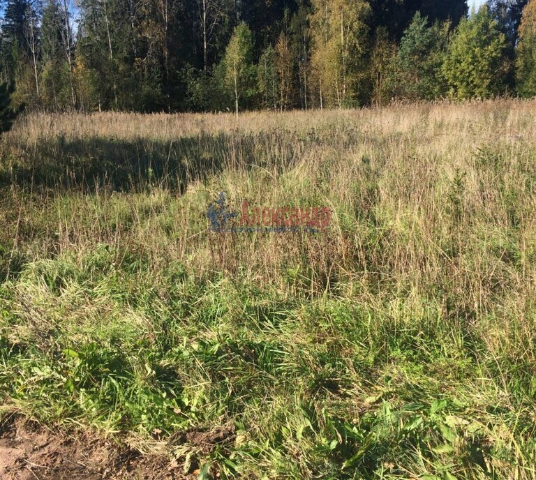 земля р-н Выборгский п Свердлово Советское городское поселение фото 5