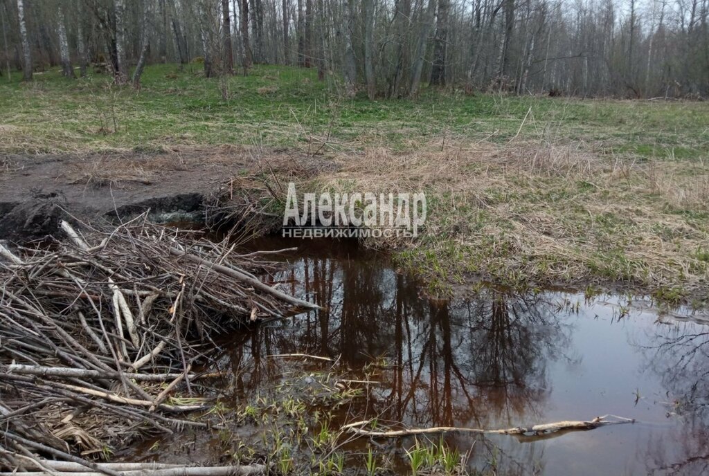 земля р-н Приозерский п Торфяное Мельниковское сельское поселение фото 5