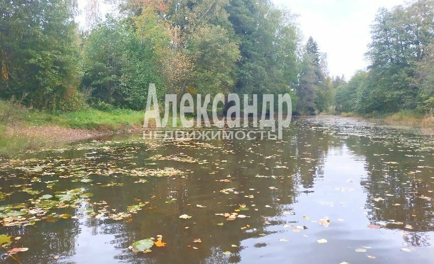 дом р-н Выборгский п Соколинское ул Лесная 10 Советское городское поселение фото 25