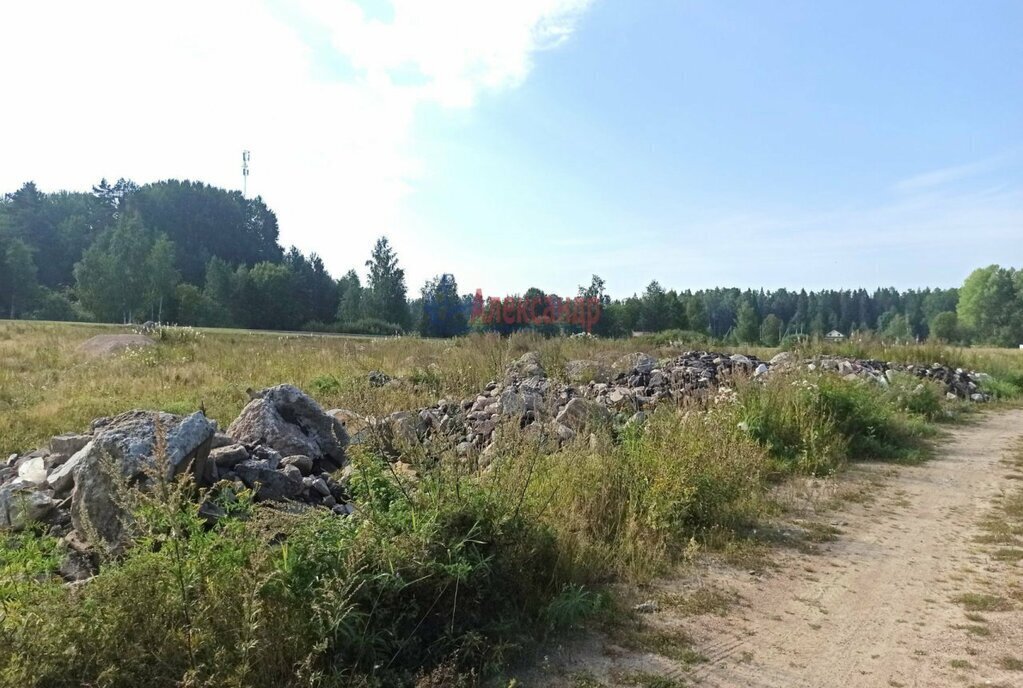 земля р-н Выборгский г Выборг р-н Сайменский СПК Шестаковский фото 16