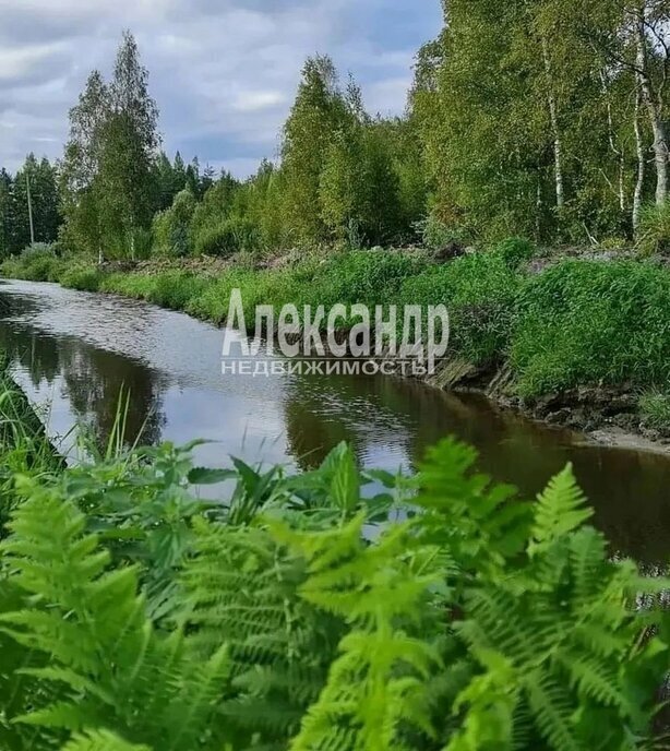 земля р-н Выборгский п Красная Долина Приморское городское поселение фото 5