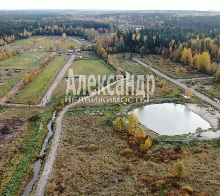 земля р-н Выборгский п Красная Долина Приморское городское поселение фото 6