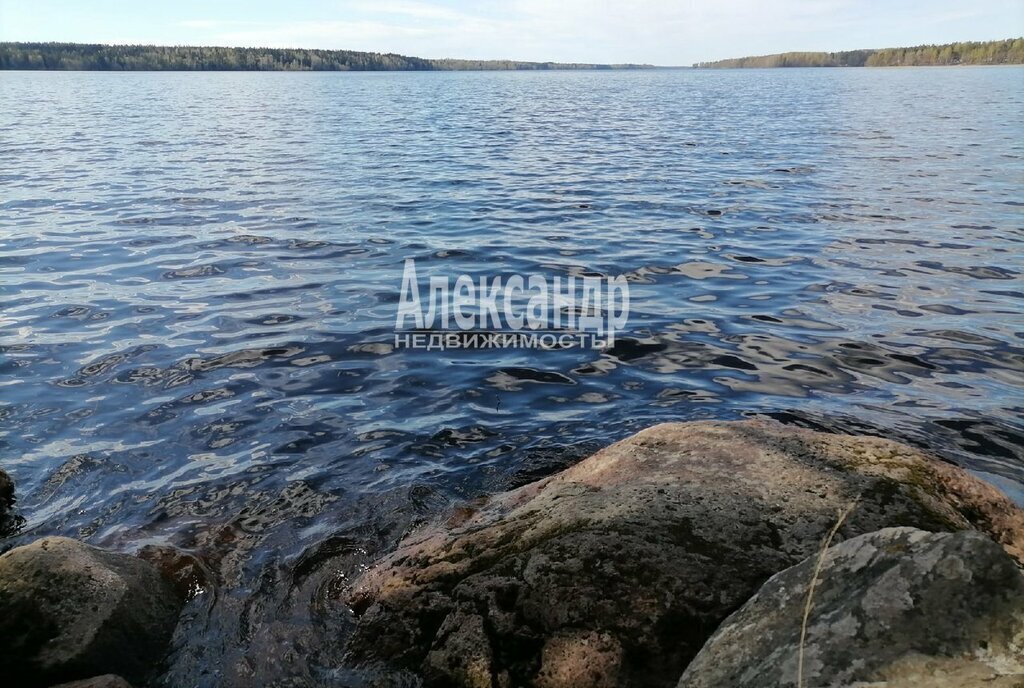 земля р-н Выборгский п Красная Долина Приморское городское поселение фото 7