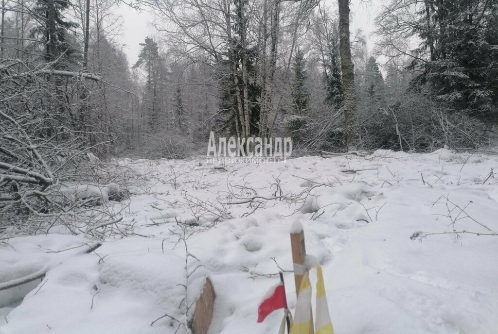 земля р-н Приозерский п Бурнево Приозерское городское поселение фото 6