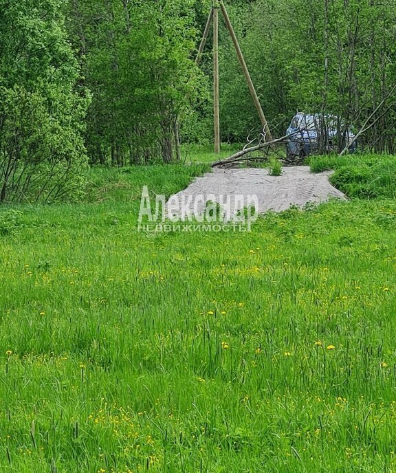 земля р-н Приозерский п Богатыри Севастьяновское сельское поселение фото 13