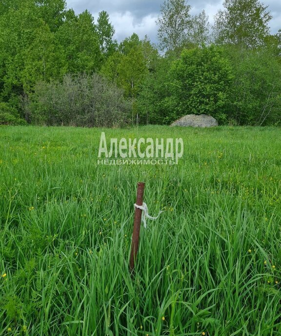 земля р-н Приозерский п Богатыри Севастьяновское сельское поселение фото 20