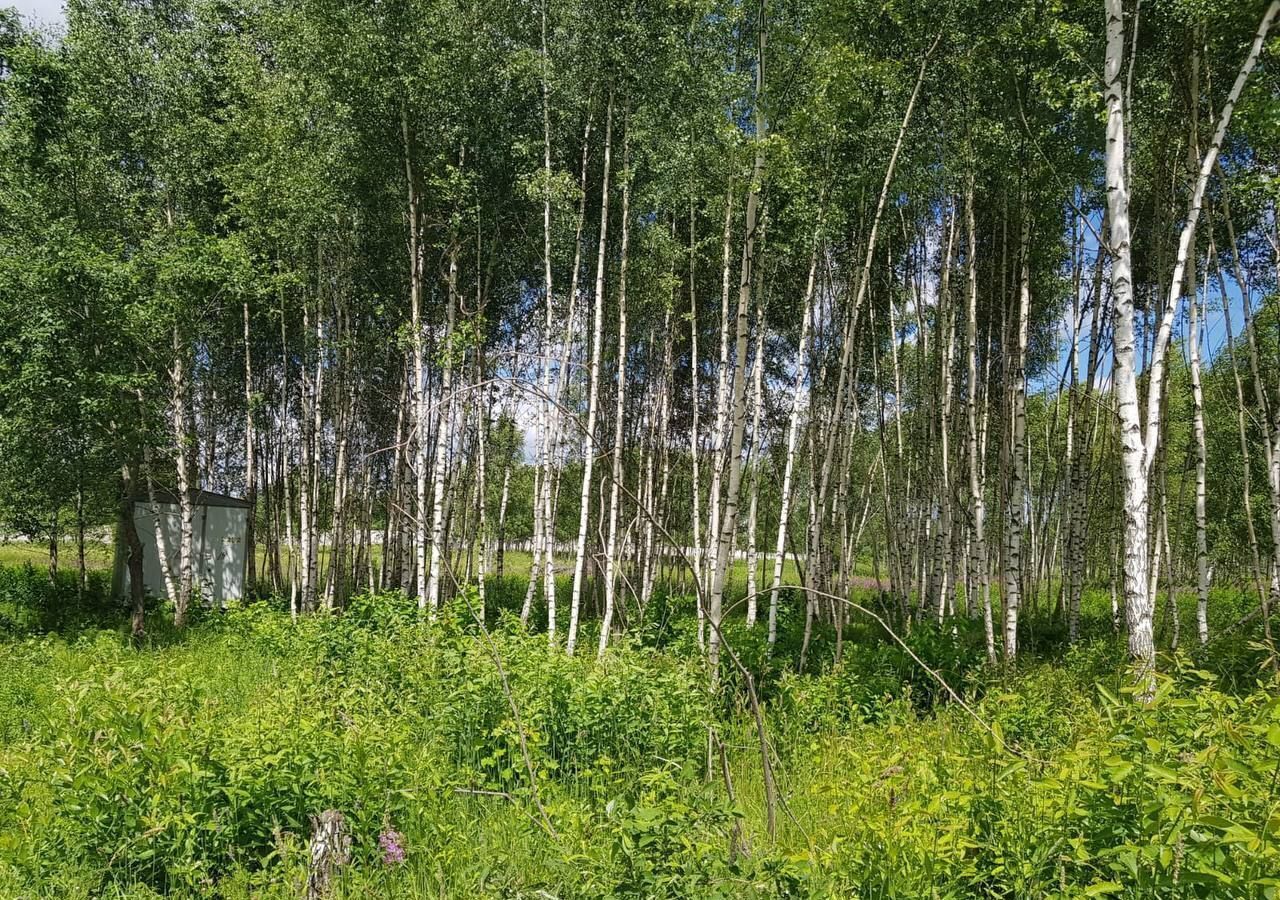 земля городской округ Дмитровский д Шустино 40 км, Деденево, Дмитровское шоссе фото 26