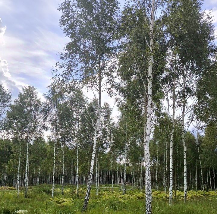 дом р-н Боровский с Совхоз Боровский Кириллово парк кп, аллея Центральная фото 27