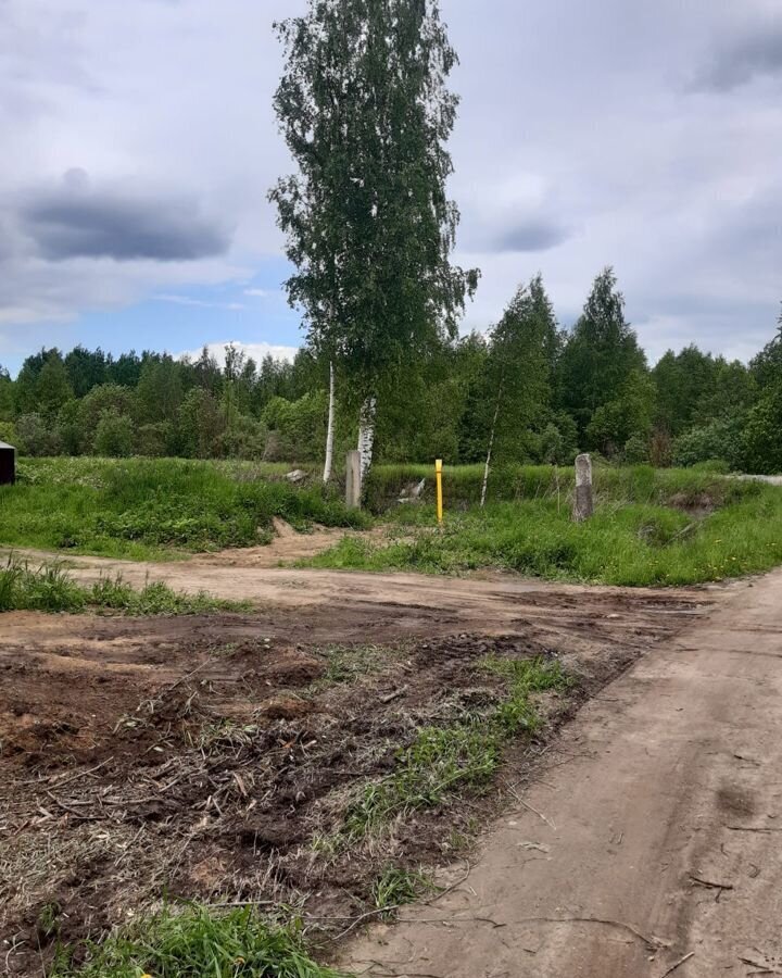 земля р-н Череповецкий д Новое Домозерово муниципальное образование Югское, Череповец фото 2