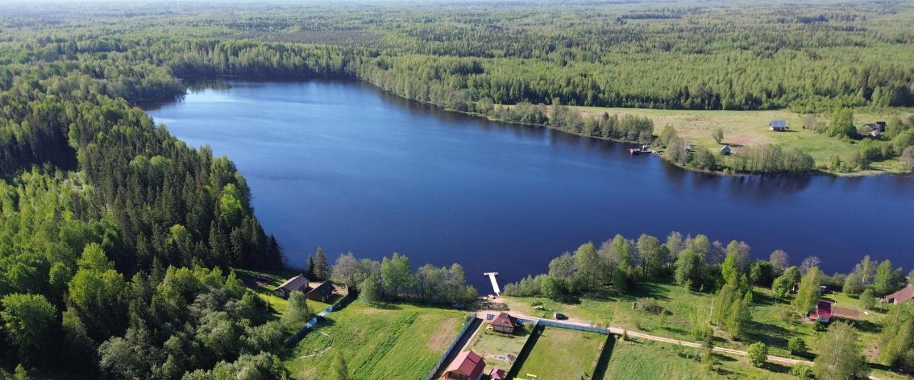 дом р-н Андреапольский д Заозерье Торопацкий сельский округ фото 1