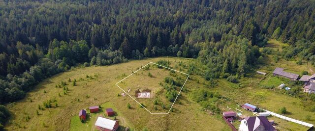 ул Дачная городское поселение Торопец фото