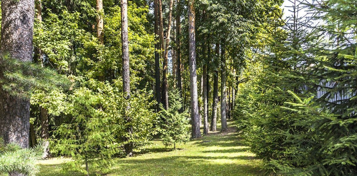 земля городской округ Одинцовский рп Заречье ул Кленовая Озёрная фото 2