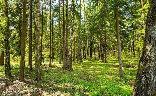 земля рп Заречье ул Кленовая 13 2 км, Заречье, Сколковское шоссе фото