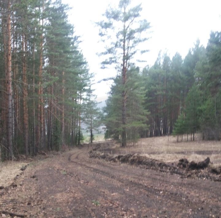 земля г Дивногорск п Манский ул Вторая Лесная 28/1 фото 3