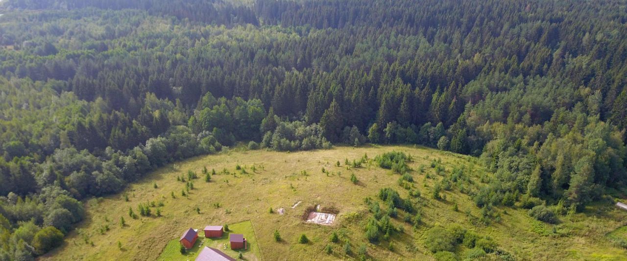 земля р-н Торопецкий г Торопец ул Дачная городское поселение Торопец фото 11