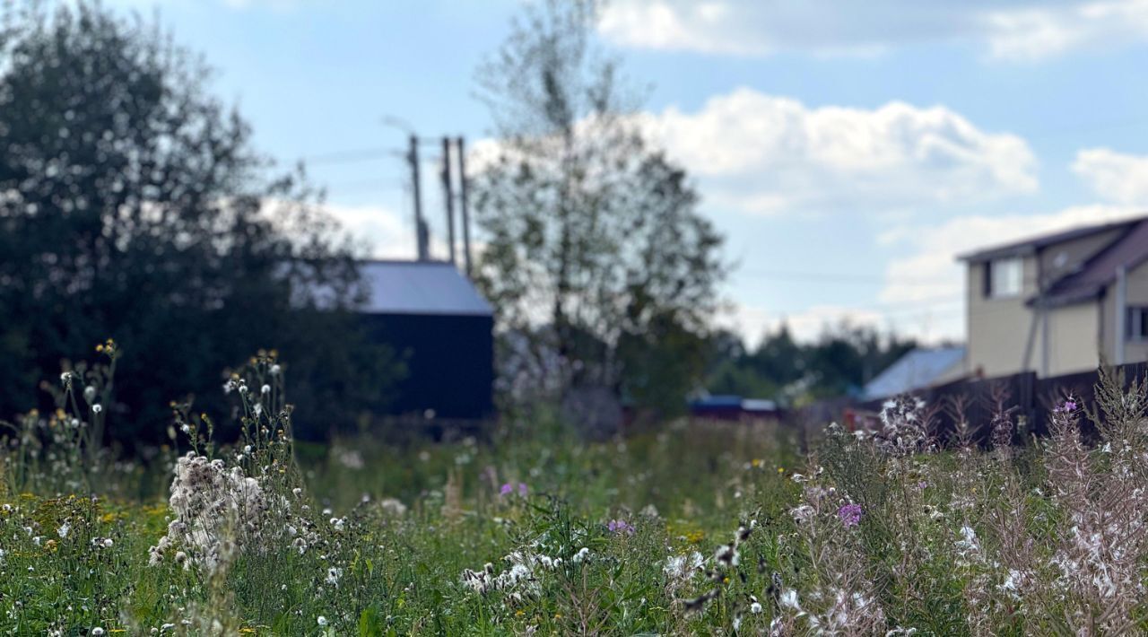 земля 432, Дмитровский городской округ, Медведки кп фото 4