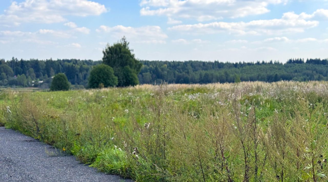 земля 432, Дмитровский городской округ, Медведки кп фото 10