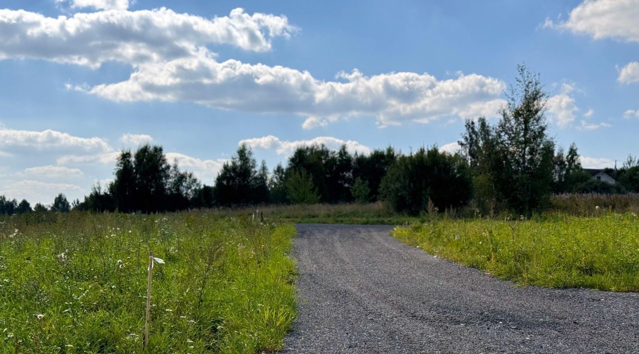 земля 432, Дмитровский городской округ, Медведки кп фото 14