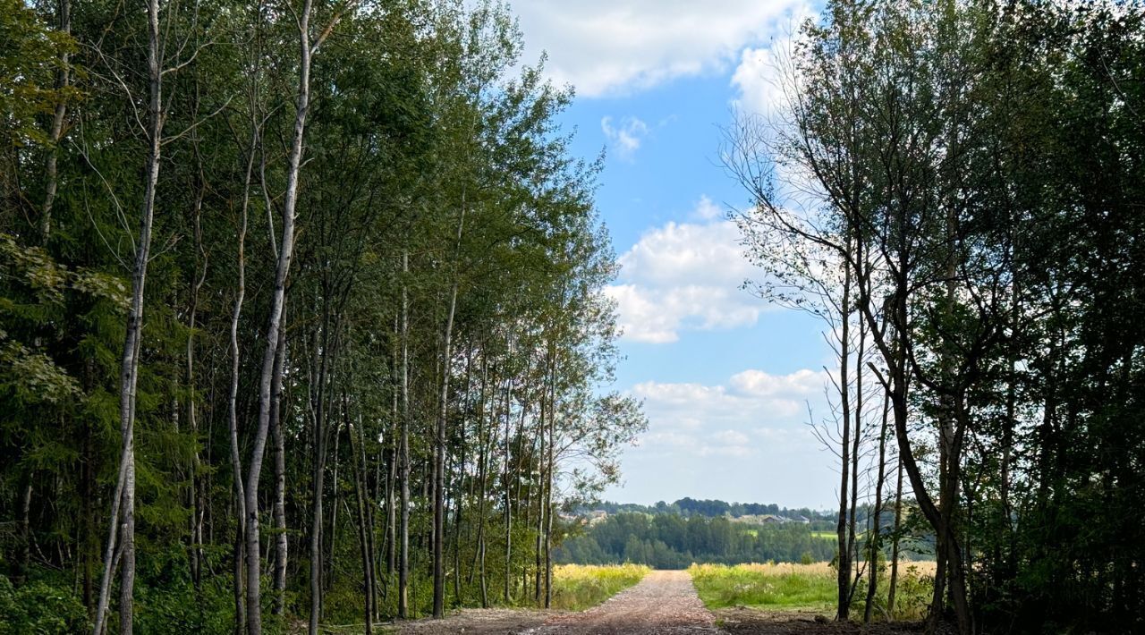 земля 432, Дмитровский городской округ, Медведки кп фото 16