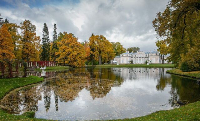 г Ломоносов р-н Петродворцовый ул Победы 36к/2 фото