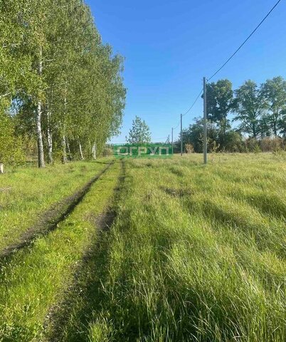 земля р-н Бессоновский с Бессоновка фото