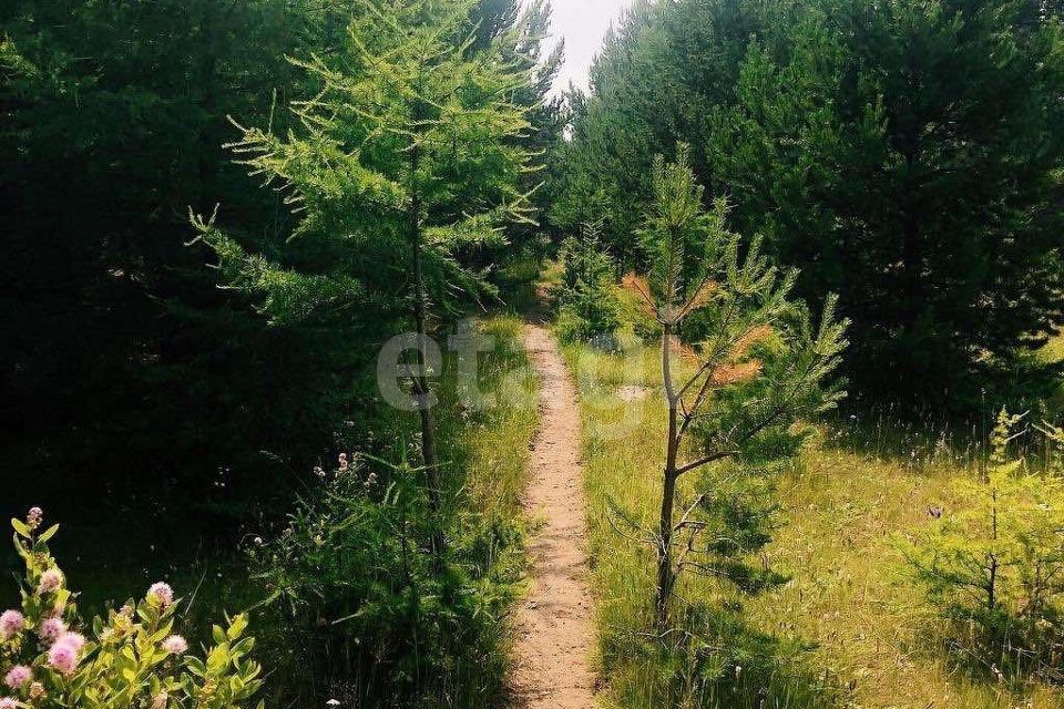 дом р-н Кабанский село Сухая фото 1